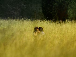 Küssendes Paar in hohem Gras